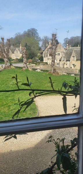 Green Hideaway photo 30