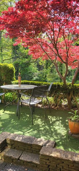 Riverside Cottage photo 24